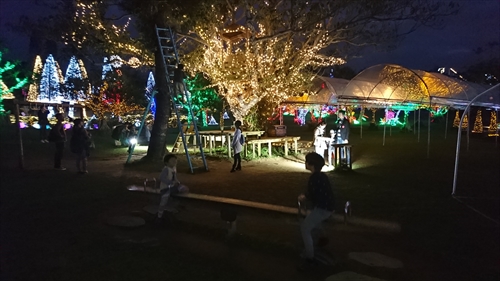 10日・東南植物楽園の光の散歩道！